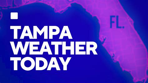 Denis Phillips. . Tampa weather today
